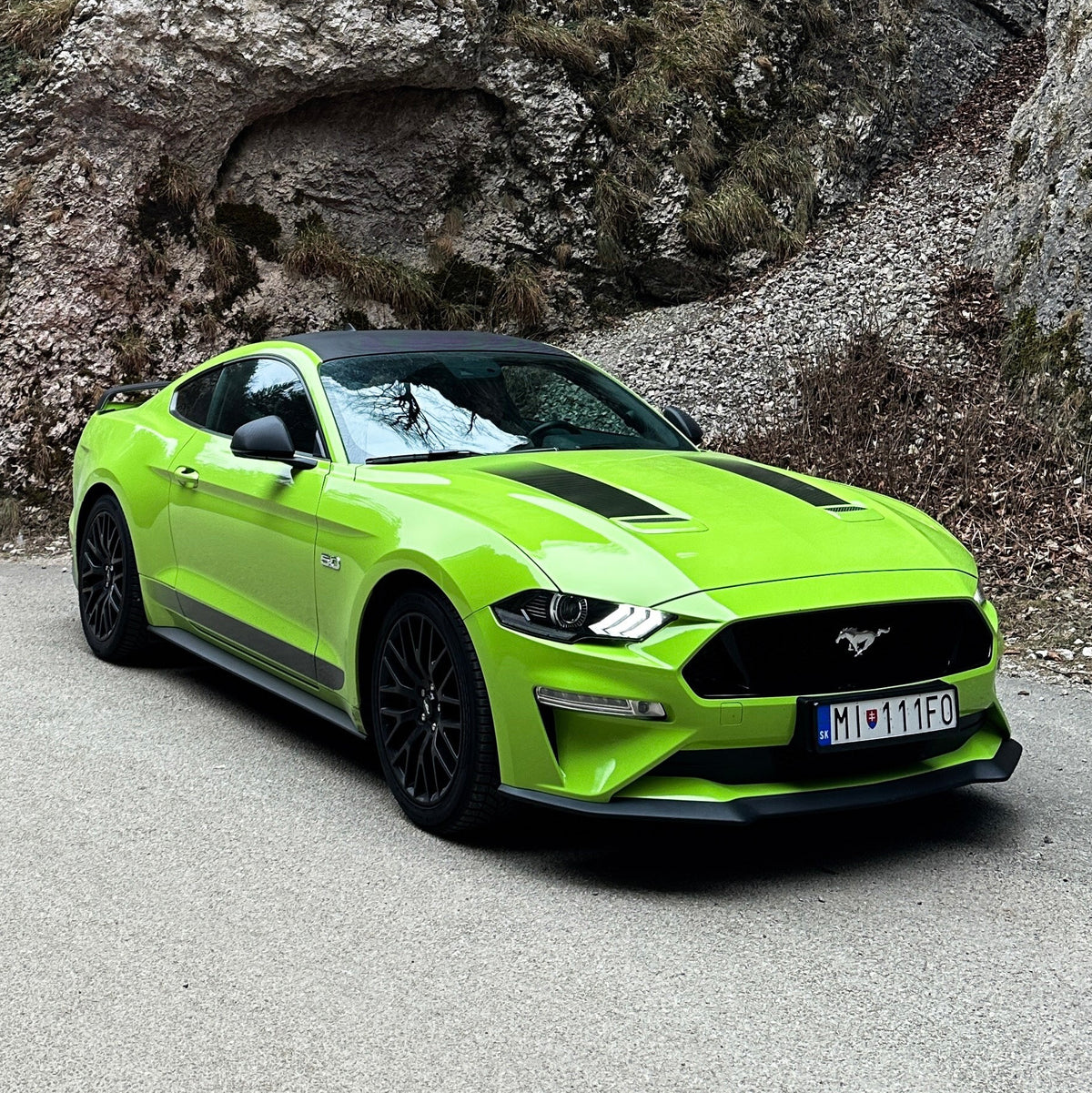 Mustang GT 5.0 V8