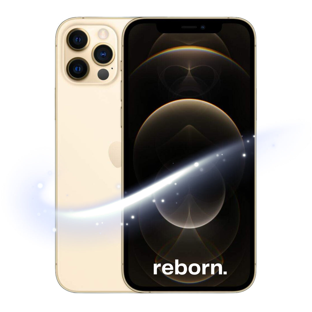 iPhone 12 Pro REBORN