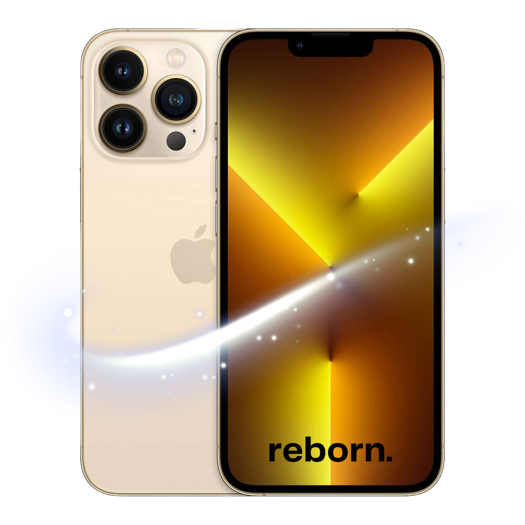 iPhone 13 Pro Max REBORN