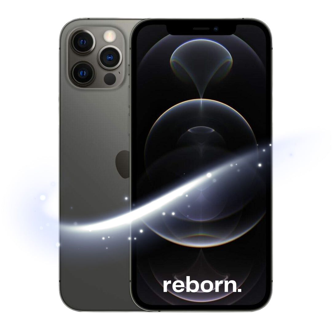 iPhone 12 Pro Max REBORN