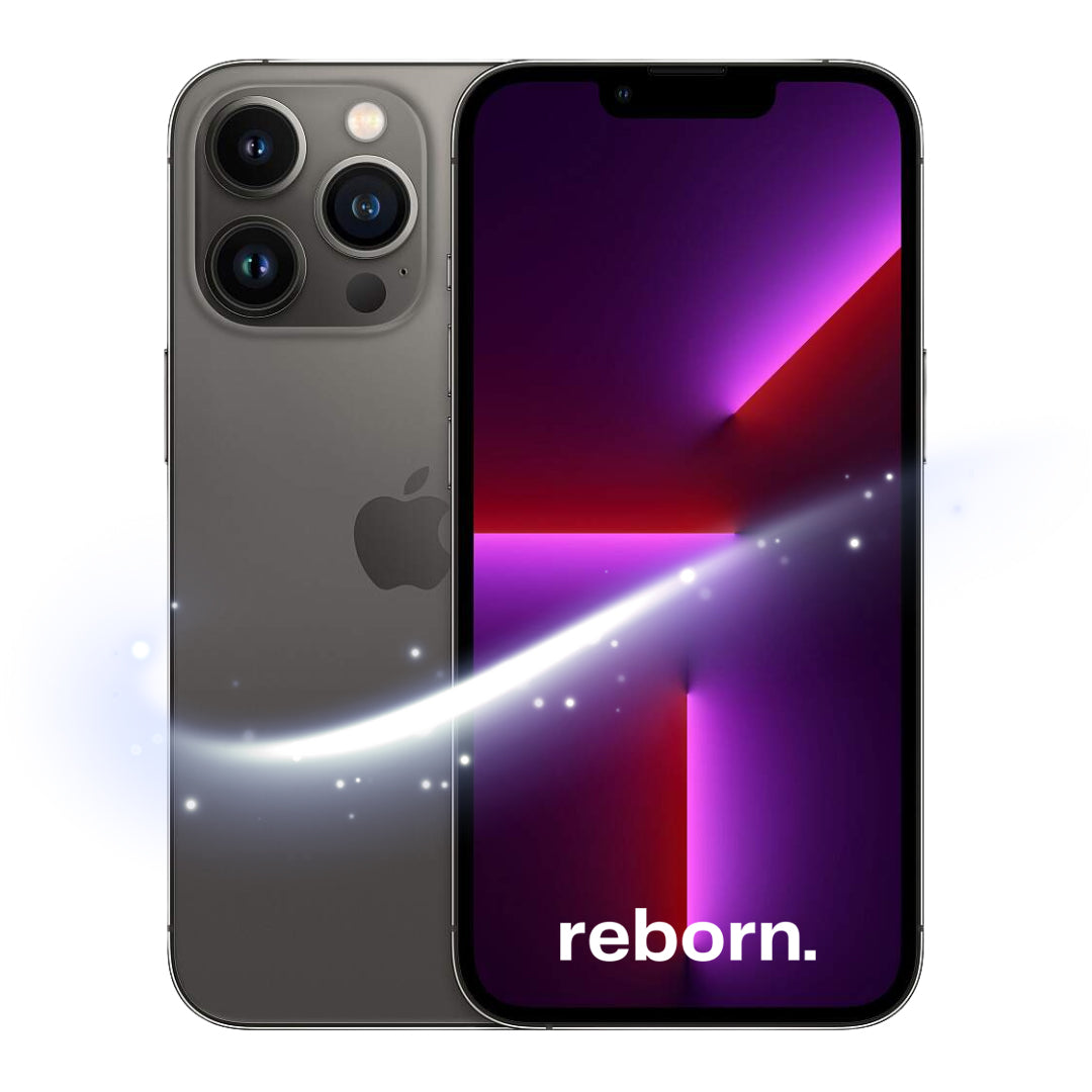 iPhone 13 Pro Max REBORN