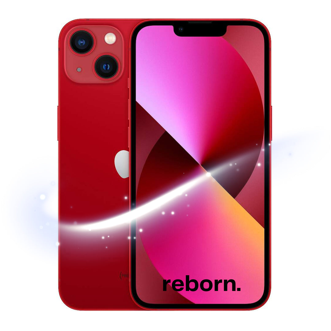 iPhone 13 REBORN